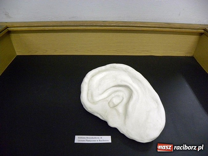 Zdjęcie w galerii na portalu naszraciborz.pl: Młodzi zdolni z Liceum Plastycznego wiadomości z regionu