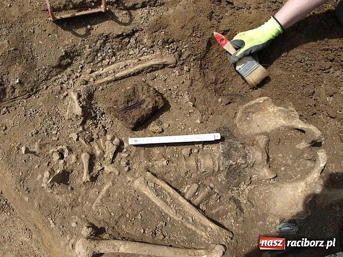 Zdjęcie w galerii na portalu naszraciborz.pl: Na terenie budowy hali sportowej w Grzegorzowicach znaleziono ludzkie szczątki wiadomości z regionu