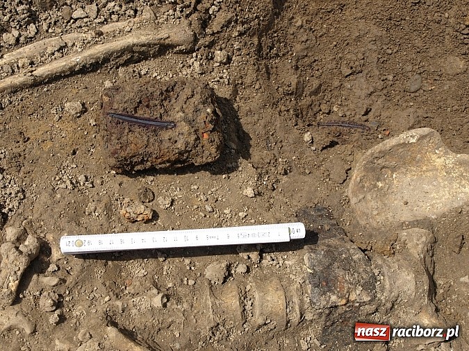 Zdjęcie w galerii na portalu naszraciborz.pl: Na terenie budowy hali sportowej w Grzegorzowicach znaleziono ludzkie szczątki wiadomości z regionu