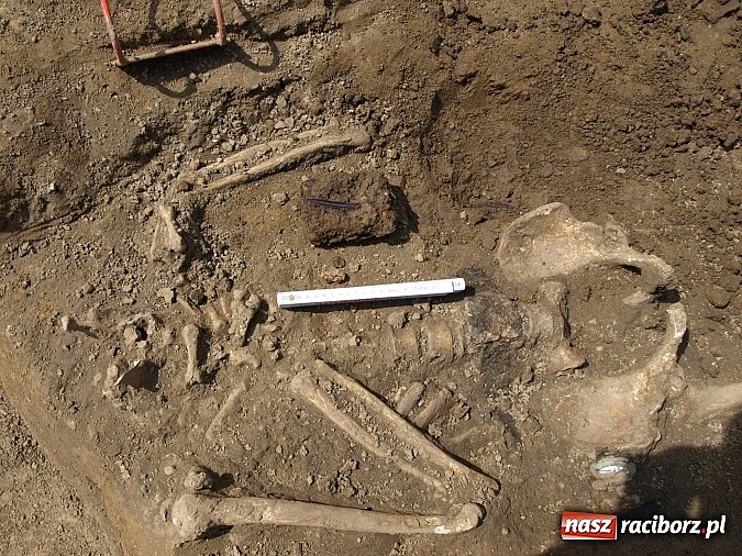 Zdjęcie w galerii na portalu naszraciborz.pl: Na terenie budowy hali sportowej w Grzegorzowicach znaleziono ludzkie szczątki wiadomości z regionu