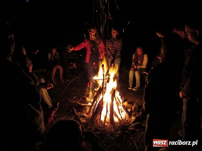 Zdjęcie w galerii na portalu naszraciborz.pl: Adapciak 2014 na Ranczu Kaszubskim Przystanek Alaska - ruszyły zapisy wiadomości z regionu
