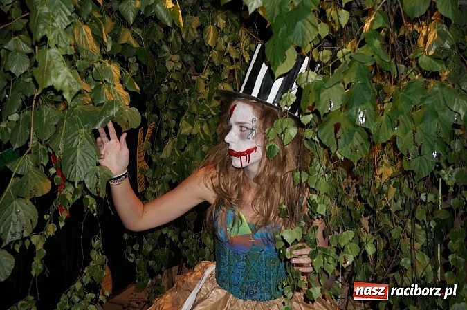 Zdjęcie w galerii na portalu naszraciborz.pl: Adapciak 2014 na Ranczu Kaszubskim Przystanek Alaska - ruszyły zapisy wiadomości z regionu