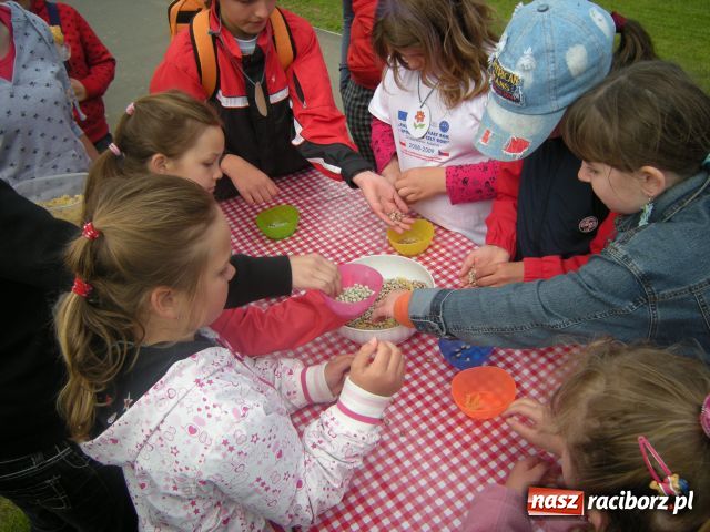 Zdjęcie w galerii na portalu naszraciborz.pl: Piknik podsumowujący projekt  wiadomości z regionu