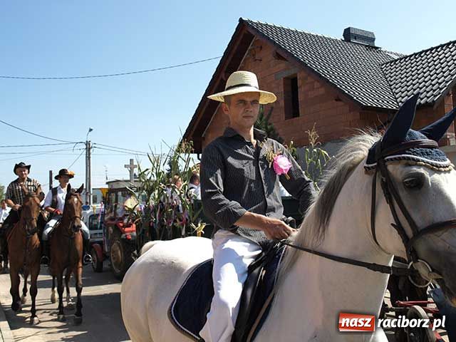 Zdjęcie w galerii na portalu naszraciborz.pl: Nie ma byka nad sudolskiego rolnika wiadomości z regionu