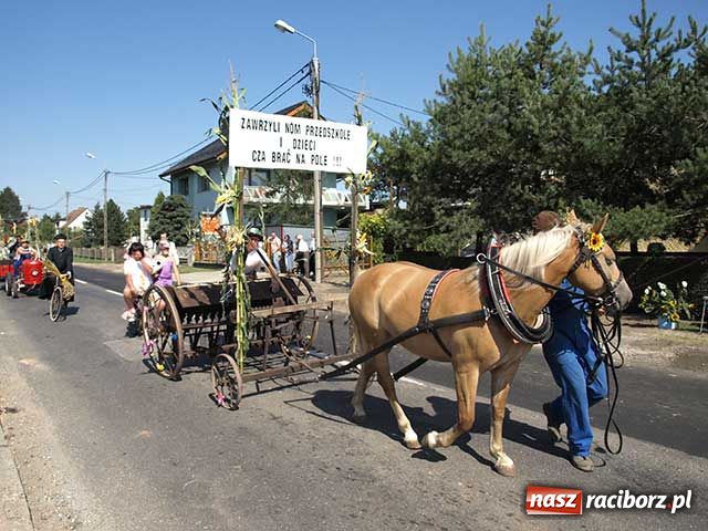 Zdjęcie w galerii na portalu naszraciborz.pl: Nie ma byka nad sudolskiego rolnika wiadomości z regionu