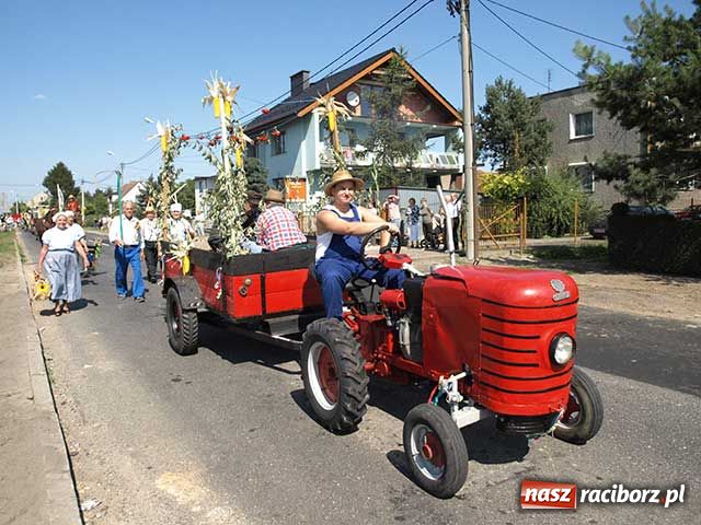 Zdjęcie w galerii na portalu naszraciborz.pl: Nie ma byka nad sudolskiego rolnika wiadomości z regionu