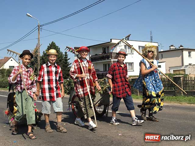 Zdjęcie w galerii na portalu naszraciborz.pl: Nie ma byka nad sudolskiego rolnika wiadomości z regionu
