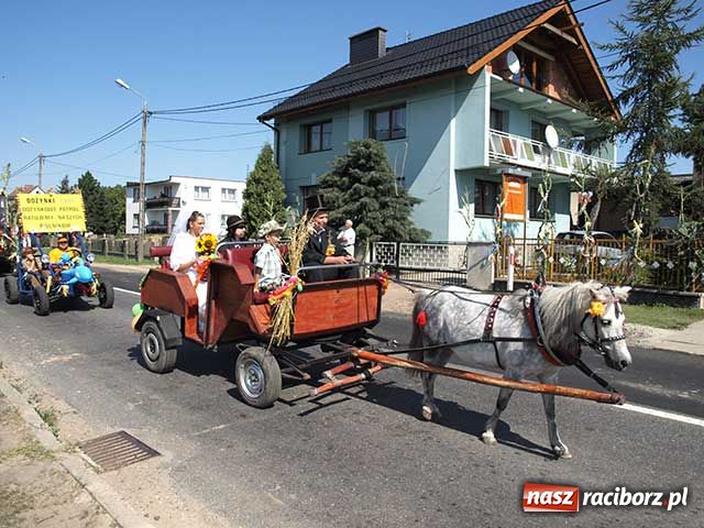 Zdjęcie w galerii na portalu naszraciborz.pl: Nie ma byka nad sudolskiego rolnika wiadomości z regionu
