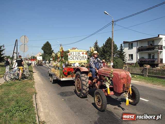 Zdjęcie w galerii na portalu naszraciborz.pl: Nie ma byka nad sudolskiego rolnika wiadomości z regionu