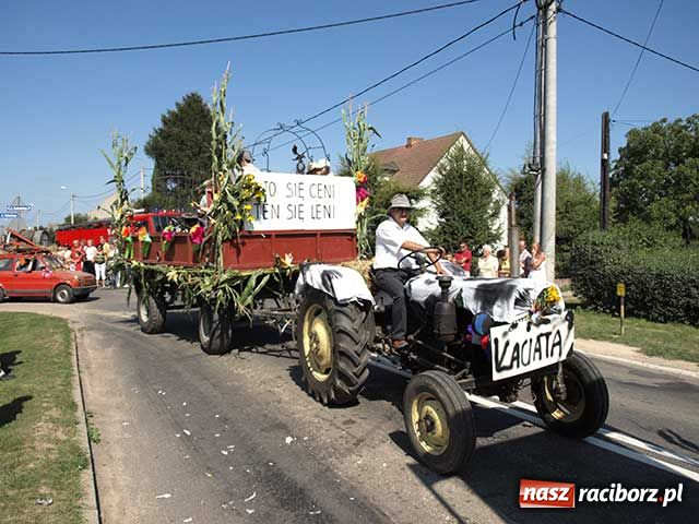 Zdjęcie w galerii na portalu naszraciborz.pl: Nie ma byka nad sudolskiego rolnika wiadomości z regionu