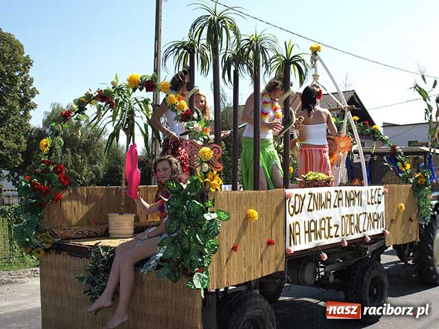 Zdjęcie w galerii na portalu naszraciborz.pl: Nie ma byka nad sudolskiego rolnika wiadomości z regionu