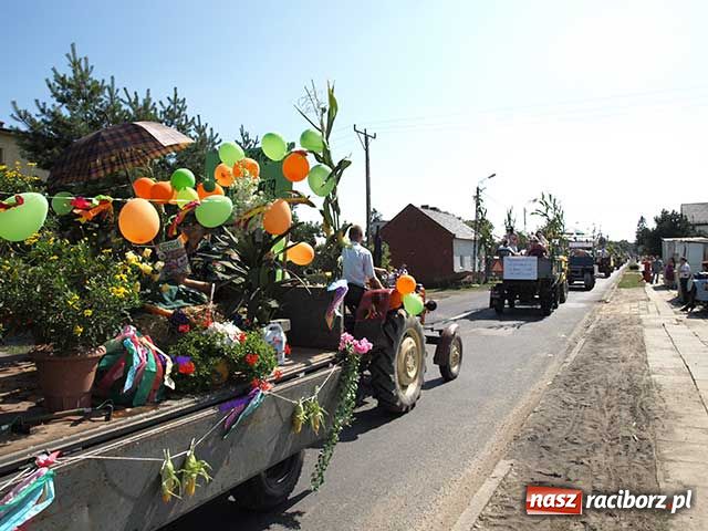 Zdjęcie w galerii na portalu naszraciborz.pl: Nie ma byka nad sudolskiego rolnika wiadomości z regionu