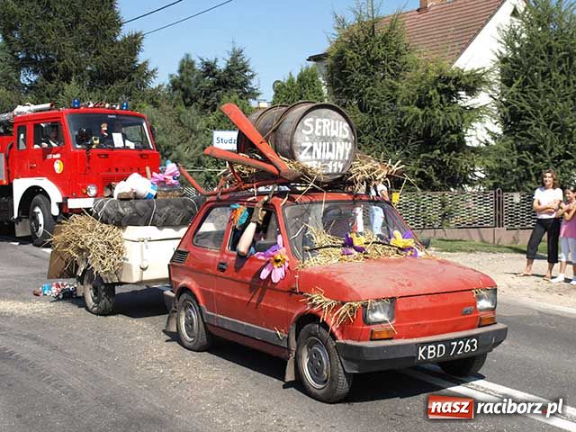 Zdjęcie w galerii na portalu naszraciborz.pl: Nie ma byka nad sudolskiego rolnika wiadomości z regionu