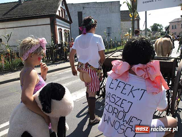 Zdjęcie w galerii na portalu naszraciborz.pl: Nie ma byka nad sudolskiego rolnika wiadomości z regionu