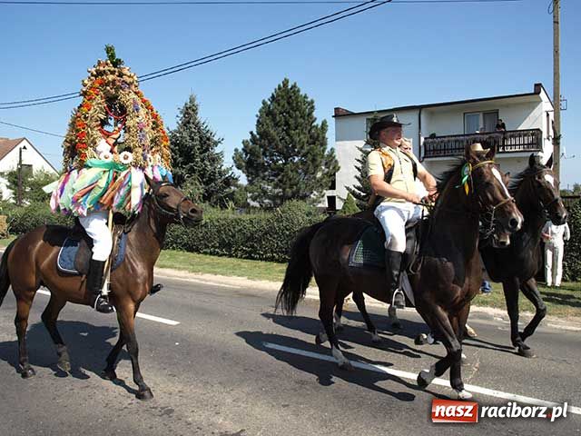 Zdjęcie w galerii na portalu naszraciborz.pl: Nie ma byka nad sudolskiego rolnika wiadomości z regionu
