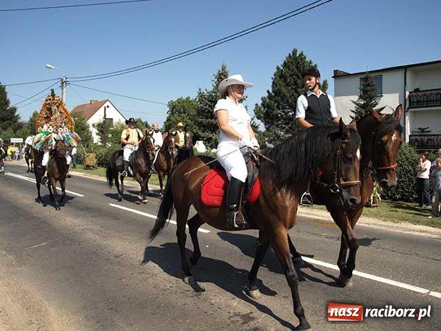 Zdjęcie w galerii na portalu naszraciborz.pl: Nie ma byka nad sudolskiego rolnika wiadomości z regionu