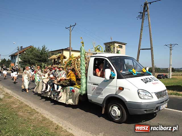 Zdjęcie w galerii na portalu naszraciborz.pl: Nie ma byka nad sudolskiego rolnika wiadomości z regionu