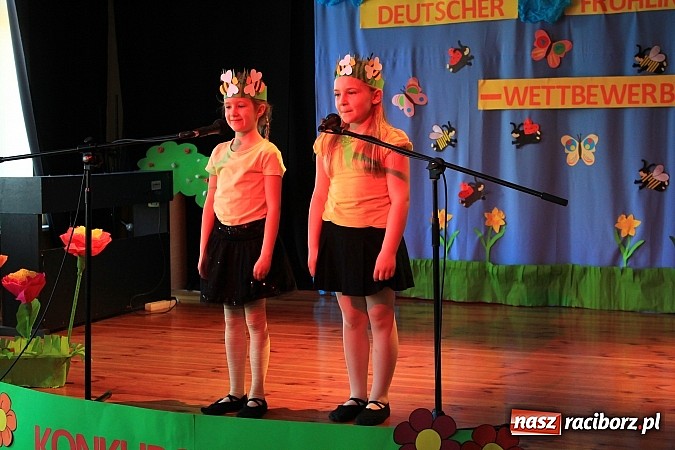 Zdjęcie w galerii na portalu naszraciborz.pl: Wiosennie i kolorowo w raciborskiej Strzesze wiadomości z regionu