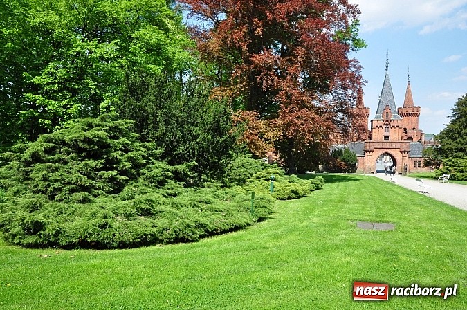 Zdjęcie w galerii na portalu naszraciborz.pl: Wycieczka na weekend: Zamek w Hradcu wiadomości z regionu