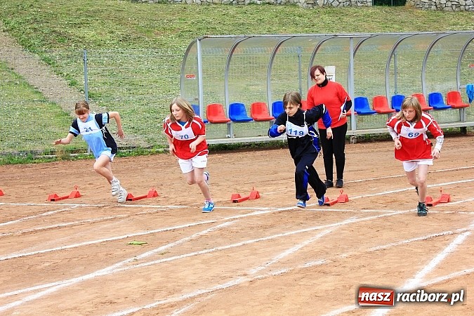 Zdjęcie w galerii na portalu naszraciborz.pl: XIV Regionalny Mityng Lekkoatletyczny.&nbsp;16 drużyn z całego Śląska w Raciborzu! wiadomości z regionu