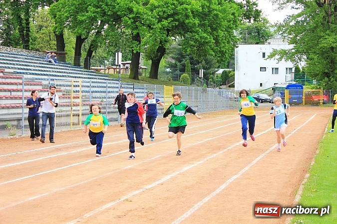Zdjęcie w galerii na portalu naszraciborz.pl: XIV Regionalny Mityng Lekkoatletyczny.&nbsp;16 drużyn z całego Śląska w Raciborzu! wiadomości z regionu