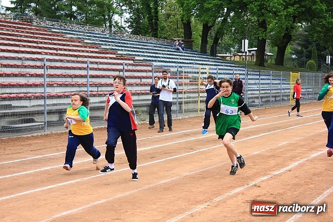 Zdjęcie w galerii na portalu naszraciborz.pl: XIV Regionalny Mityng Lekkoatletyczny.&nbsp;16 drużyn z całego Śląska w Raciborzu! wiadomości z regionu