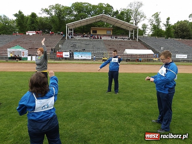 Zdjęcie w galerii na portalu naszraciborz.pl: XIV Regionalny Mityng Lekkoatletyczny.&nbsp;16 drużyn z całego Śląska w Raciborzu! wiadomości z regionu