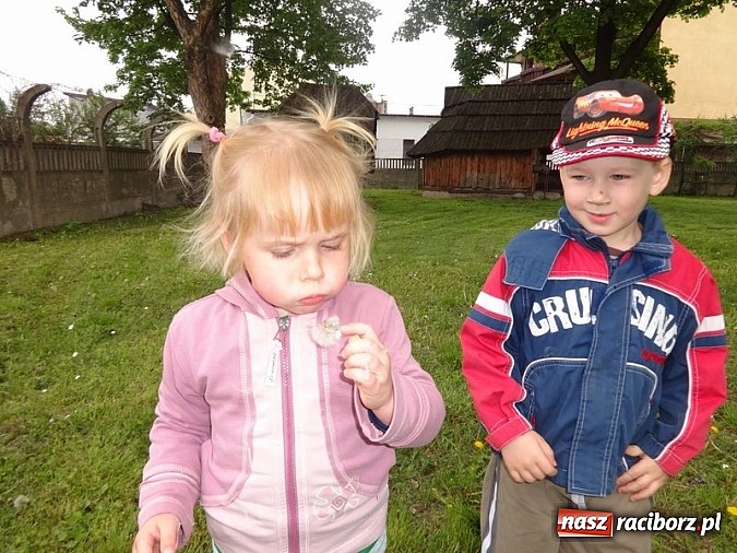 Zdjęcie w galerii na portalu naszraciborz.pl: Odkrywaj świat i korzystaj z jego oferty wiadomości z regionu