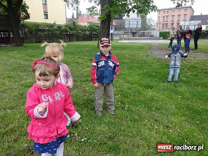 Zdjęcie w galerii na portalu naszraciborz.pl: Odkrywaj świat i korzystaj z jego oferty wiadomości z regionu