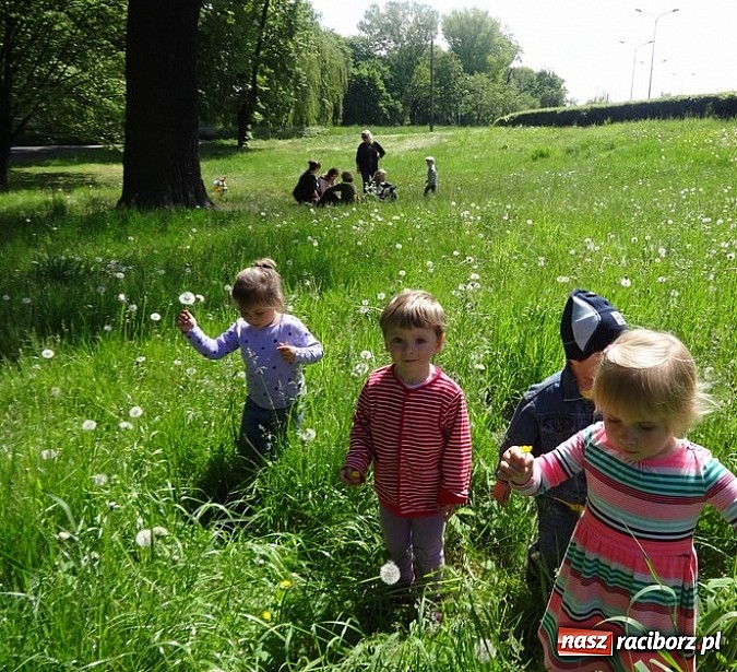 Zdjęcie w galerii na portalu naszraciborz.pl: Odkrywaj świat i korzystaj z jego oferty wiadomości z regionu