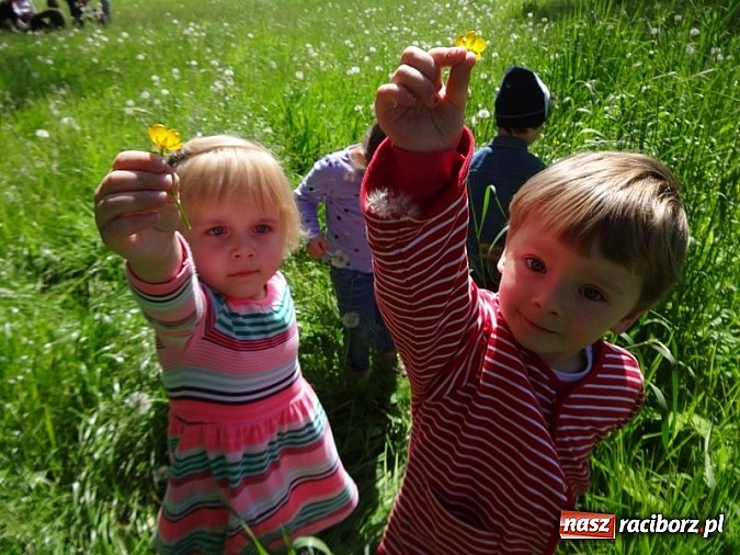 Zdjęcie w galerii na portalu naszraciborz.pl: Odkrywaj świat i korzystaj z jego oferty wiadomości z regionu