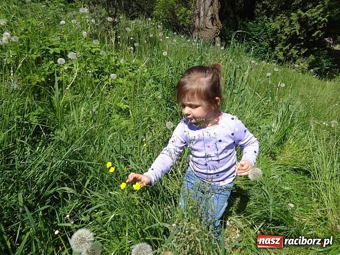 Zdjęcie w galerii na portalu naszraciborz.pl: Odkrywaj świat i korzystaj z jego oferty wiadomości z regionu