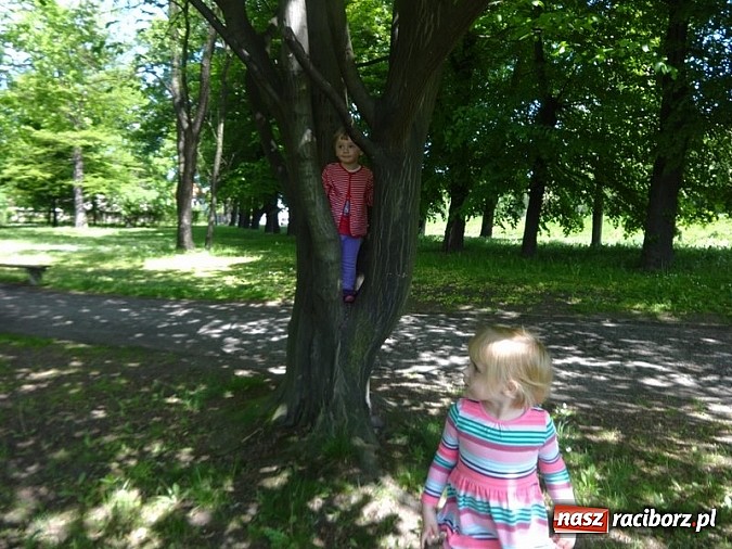 Zdjęcie w galerii na portalu naszraciborz.pl: Odkrywaj świat i korzystaj z jego oferty wiadomości z regionu