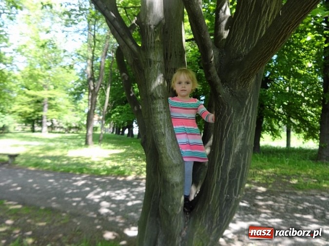 Zdjęcie w galerii na portalu naszraciborz.pl: Odkrywaj świat i korzystaj z jego oferty wiadomości z regionu