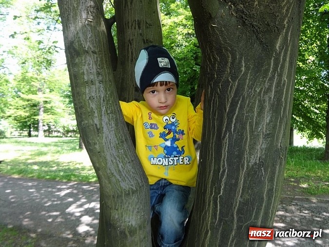 Zdjęcie w galerii na portalu naszraciborz.pl: Odkrywaj świat i korzystaj z jego oferty wiadomości z regionu