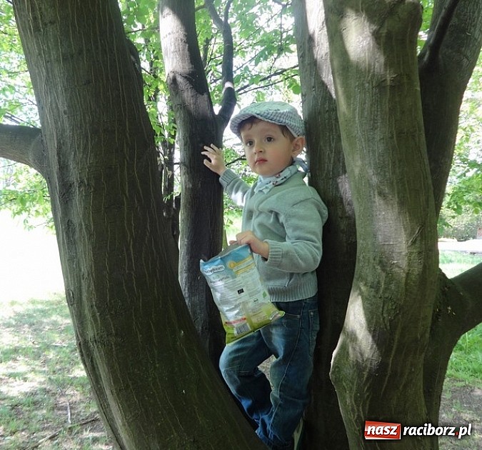 Zdjęcie w galerii na portalu naszraciborz.pl: Odkrywaj świat i korzystaj z jego oferty wiadomości z regionu