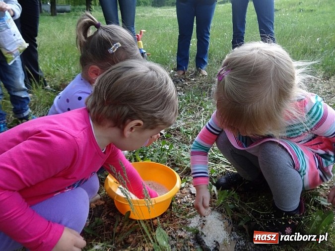 Zdjęcie w galerii na portalu naszraciborz.pl: Odkrywaj świat i korzystaj z jego oferty wiadomości z regionu