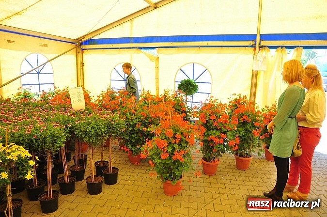 Zdjęcie w galerii na portalu naszraciborz.pl: 120 wystawców. Piękna pogoda. Bogaty program. Ruszyła Eko-Wystawa w Pietrowicach wiadomości z regionu