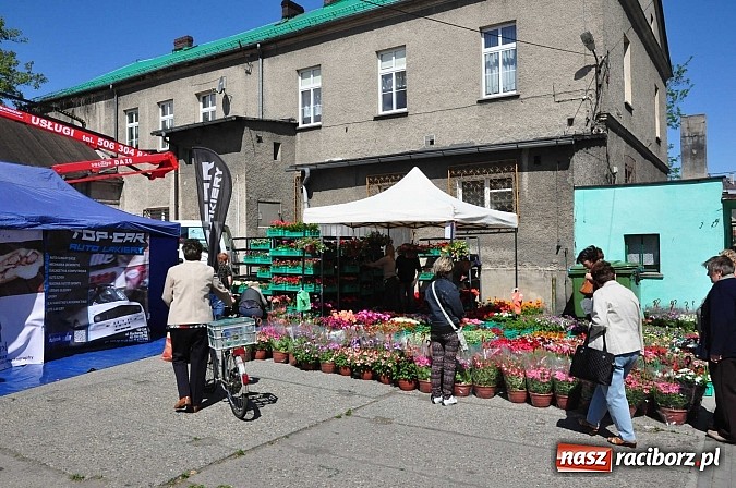 Zdjęcie w galerii na portalu naszraciborz.pl: 120 wystawców. Piękna pogoda. Bogaty program. Ruszyła Eko-Wystawa w Pietrowicach wiadomości z regionu