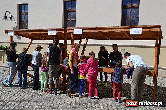 Zdjęcie w galerii na portalu naszraciborz.pl: Na zamku zagościli miłośnicy gier logicznych wiadomości z regionu