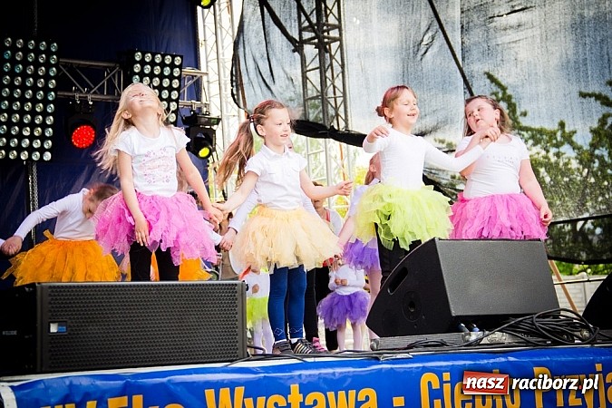 Zdjęcie w galerii na portalu naszraciborz.pl: Dopisała pogoda i publiczność. Pierwszy dzień Eko-targów za nami. W niedzielę Pectus! wiadomości z regionu