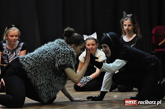 Zdjęcie w galerii na portalu naszraciborz.pl: Koty Eliota na podsumowanie warsztatów wiadomości z regionu