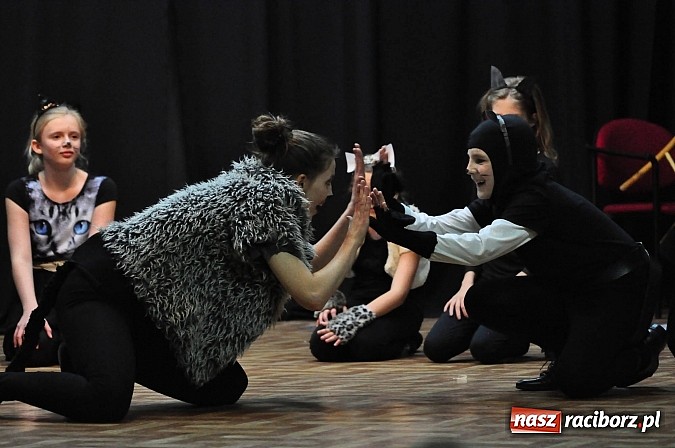 Zdjęcie w galerii na portalu naszraciborz.pl: Koty Eliota na podsumowanie warsztatów wiadomości z regionu