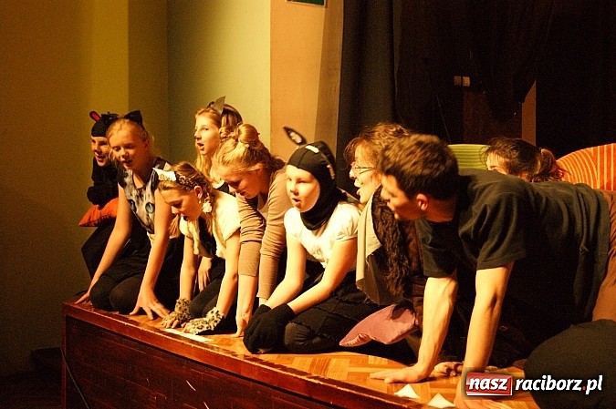 Zdjęcie w galerii na portalu naszraciborz.pl: Koty Eliota na podsumowanie warsztatów wiadomości z regionu