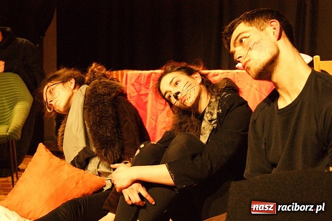 Zdjęcie w galerii na portalu naszraciborz.pl: Koty Eliota na podsumowanie warsztatów wiadomości z regionu