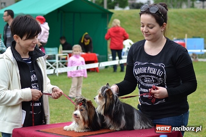 Zdjęcie w galerii na portalu naszraciborz.pl: Wystawa ściągnęła do Kuźni Raciborskiej miłośników czworonogów wiadomości z regionu