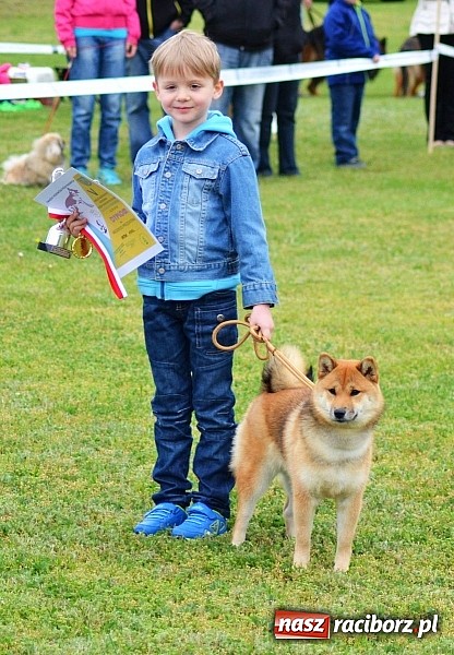 Zdjęcie w galerii na portalu naszraciborz.pl: Wystawa ściągnęła do Kuźni Raciborskiej miłośników czworonogów wiadomości z regionu