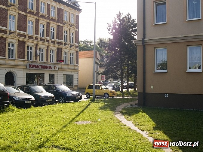 Zdjęcie w galerii na portalu naszraciborz.pl: Rodzeństwo z Raciborza ubiera raciborzan wiadomości z regionu