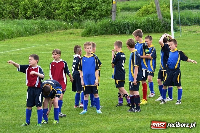 Zdjęcie w galerii na portalu naszraciborz.pl: Piąta wygrana orlików Pawłowa w ich piątym meczu wiadomości z regionu