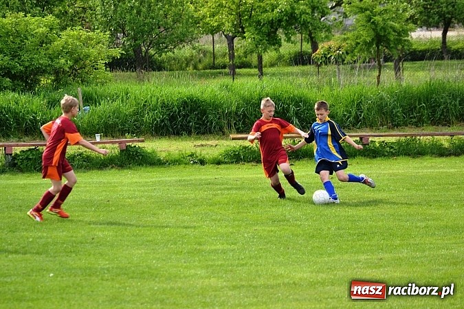 Zdjęcie w galerii na portalu naszraciborz.pl: Piąta wygrana orlików Pawłowa w ich piątym meczu wiadomości z regionu